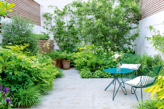 How to create a functional, beautiful courtyard garden with hardlandscaping