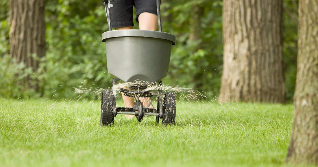 The best fertilisers for your lawn