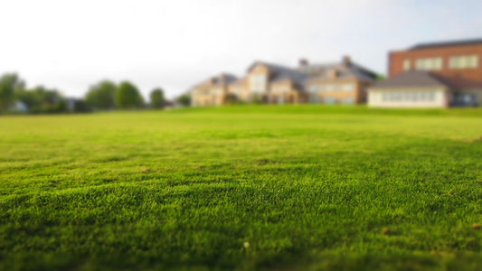 The ultimate lawncare guide