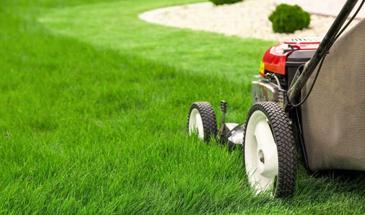 How often should you mow your lawn? A comprehensive guide