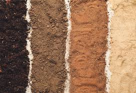 Understanding soil types in your garden