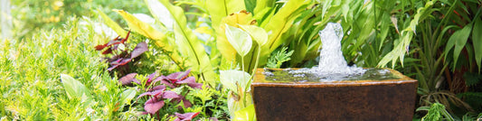 Benefits of a garden water feature